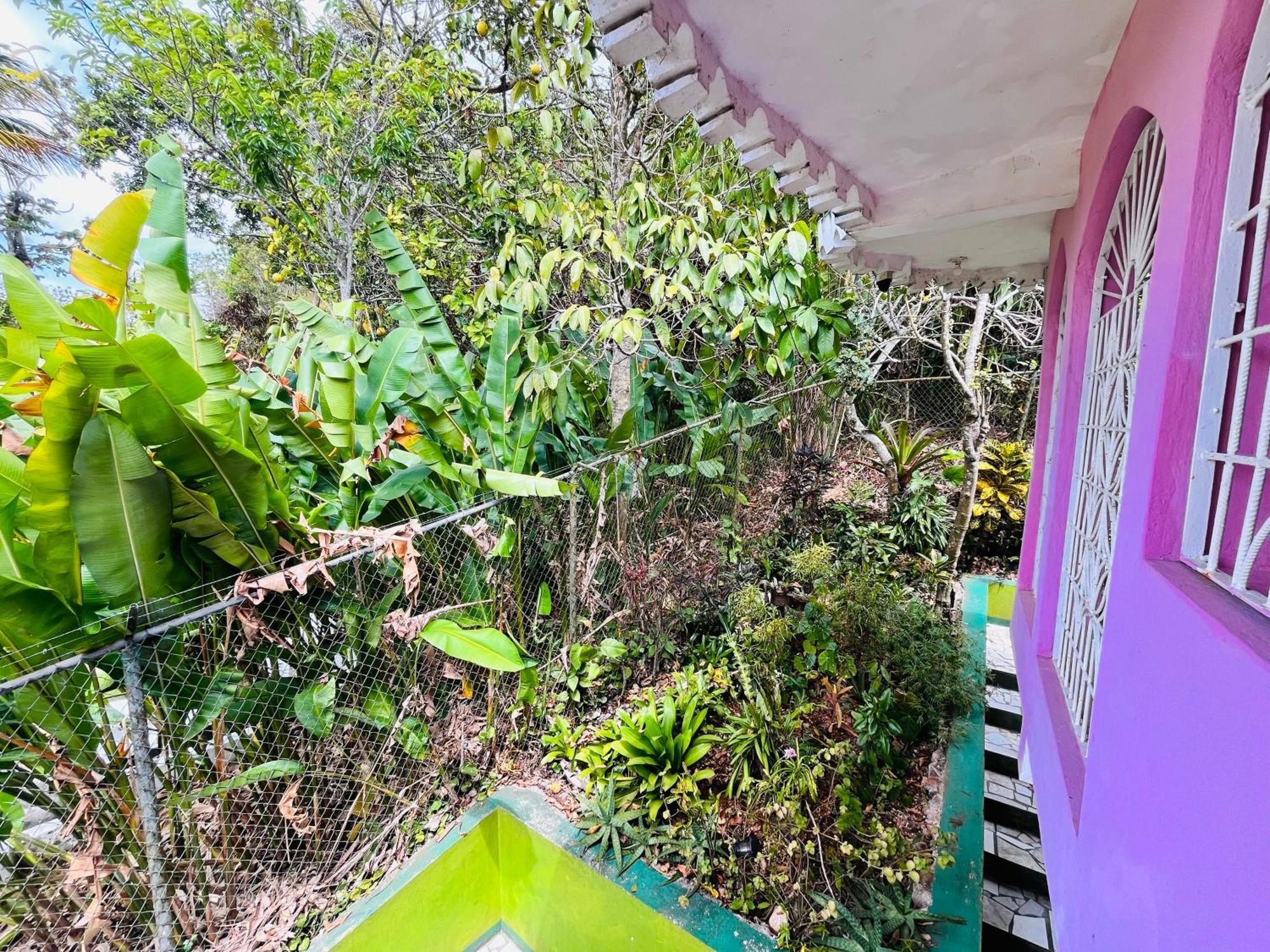 Nine Miles Cultural Hangouts And Tours Stepney Esterno foto